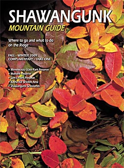 SMG November 2009 Issue